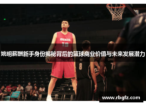 姚明薪酬新手身份揭秘背后的篮球商业价值与未来发展潜力