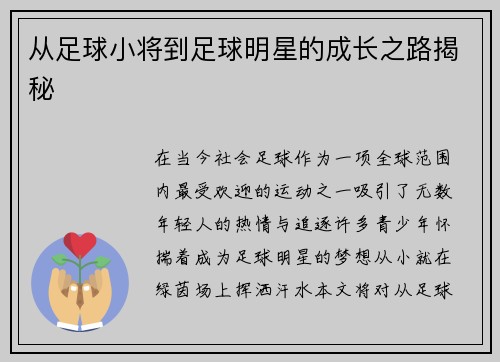 从足球小将到足球明星的成长之路揭秘